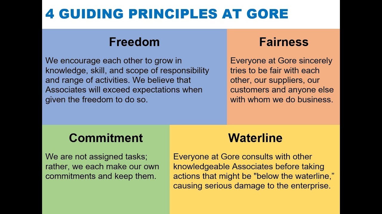 values and guiding principles examples